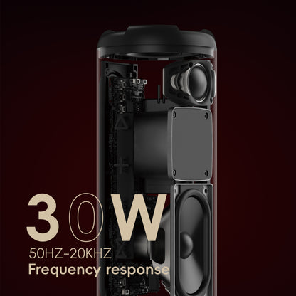 SAFI Sonik 30 30W Protable Bluetooth Speaker with RGB Light Black (TF-Card Supported)